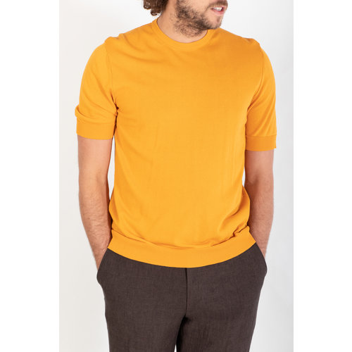 Gallia Gallia T-Shirt / Barry / Turmeric Gallia Gallia T-Shirt / Barry / Turmeric