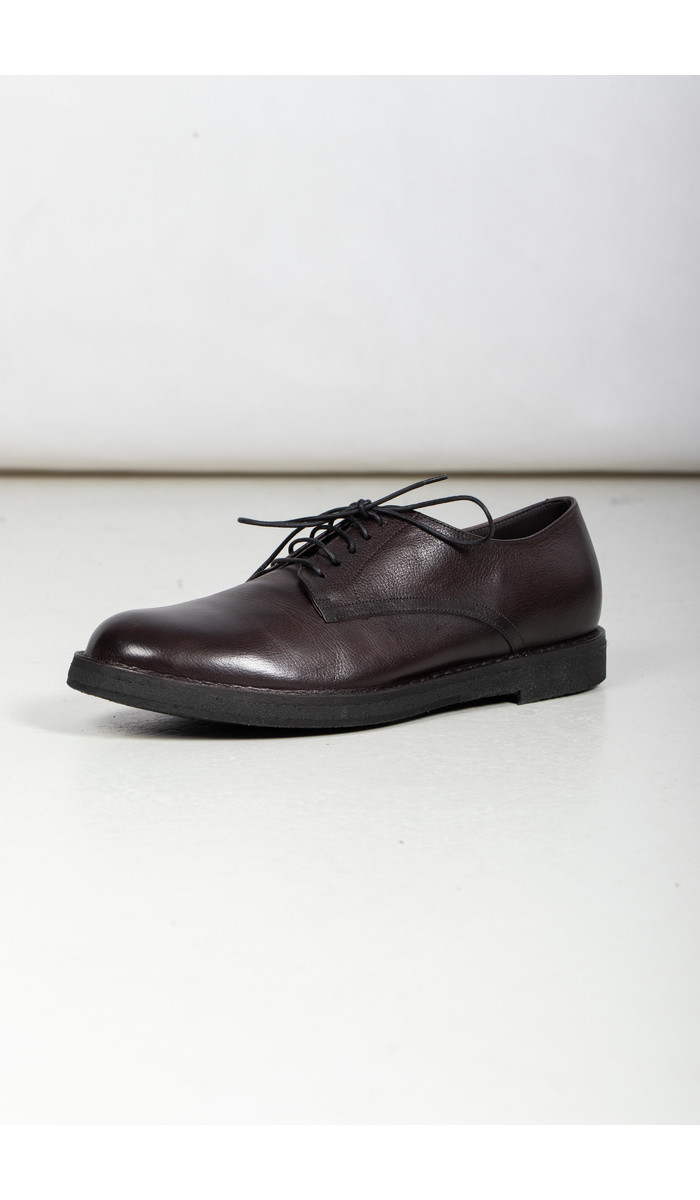 Pantanetti Pantanetti Shoe / 15863I / Dark Chocolate