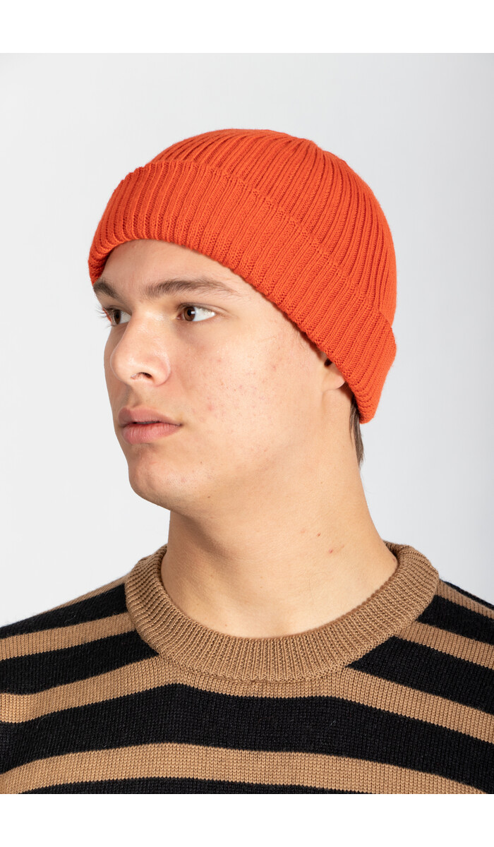 RoToTo RoToTo Hat / Roll Up / Orange