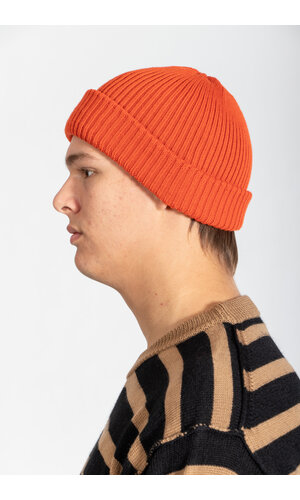 RoToTo RoToTo Hat / Roll Up / Orange