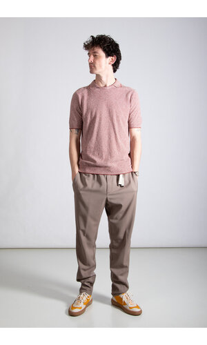 Gallia Gallia Polo / Beck / Brown & White