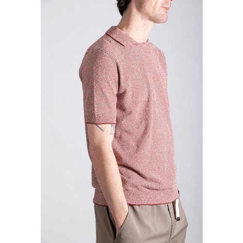 Gallia Gallia Polo / Beck / Brown & White