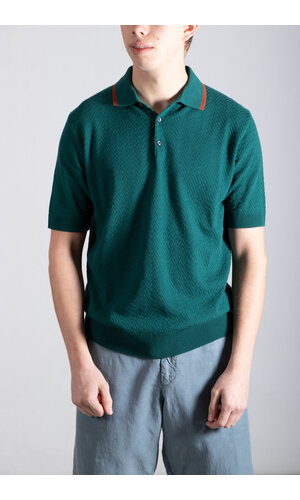 Gallia Gallia Polo / Brodi / Groen & Bruin