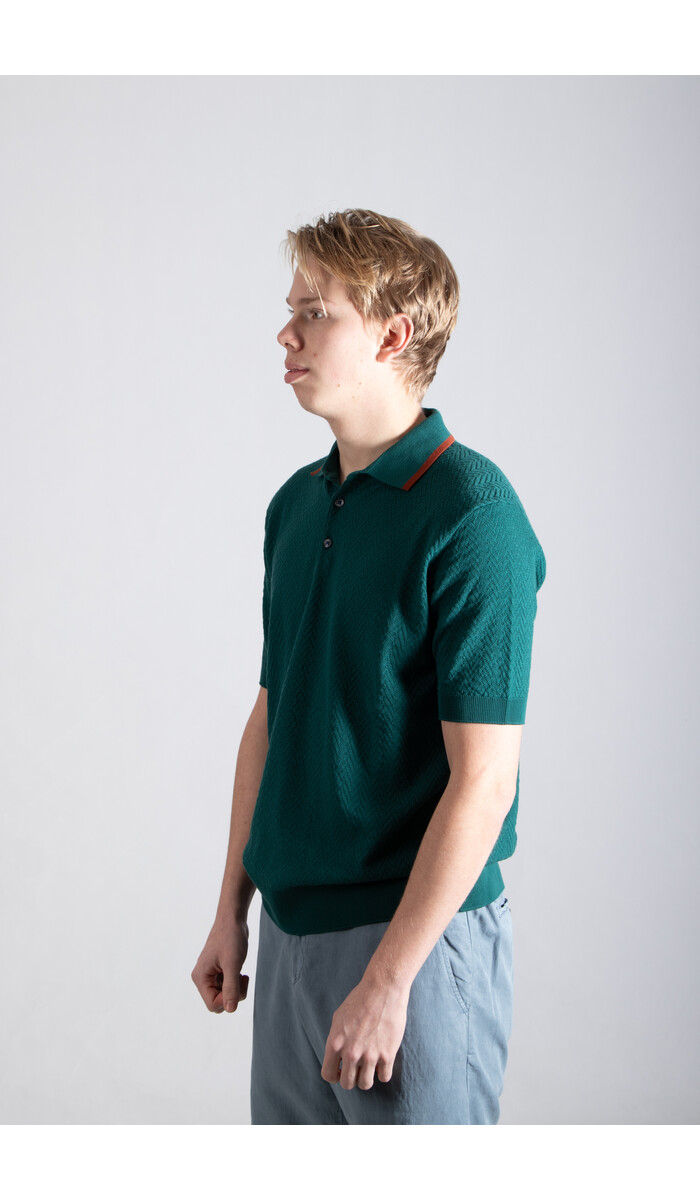 Gallia Gallia Polo / Brodi / Grün & Braun