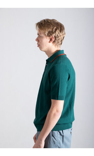 Gallia Gallia Polo / Brodi / Groen & Bruin