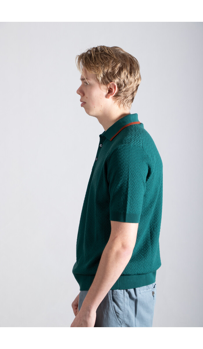 Gallia Gallia Polo / Brodi / Groen & Bruin