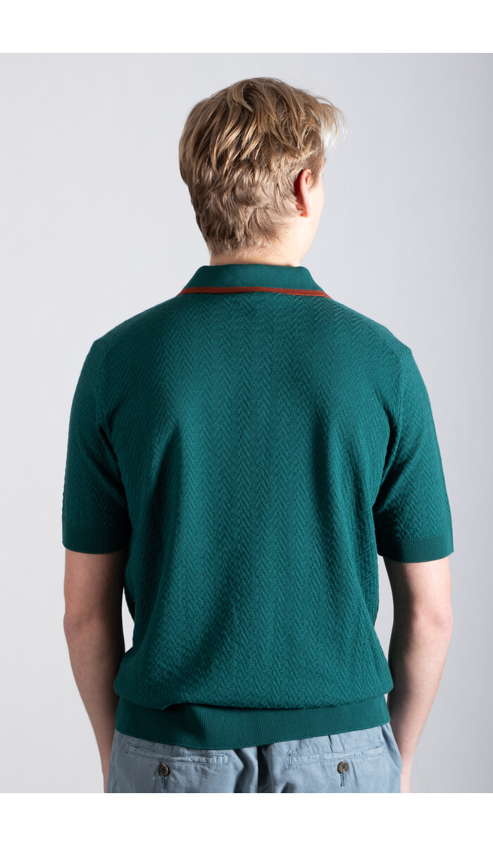 Gallia Gallia Polo / Brodi / Green & Brown