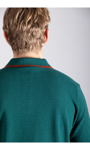 Gallia Gallia Polo / Brodi / Groen & Bruin