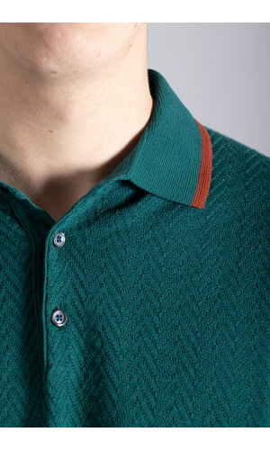 Gallia Gallia Polo / Brodi / Groen & Bruin