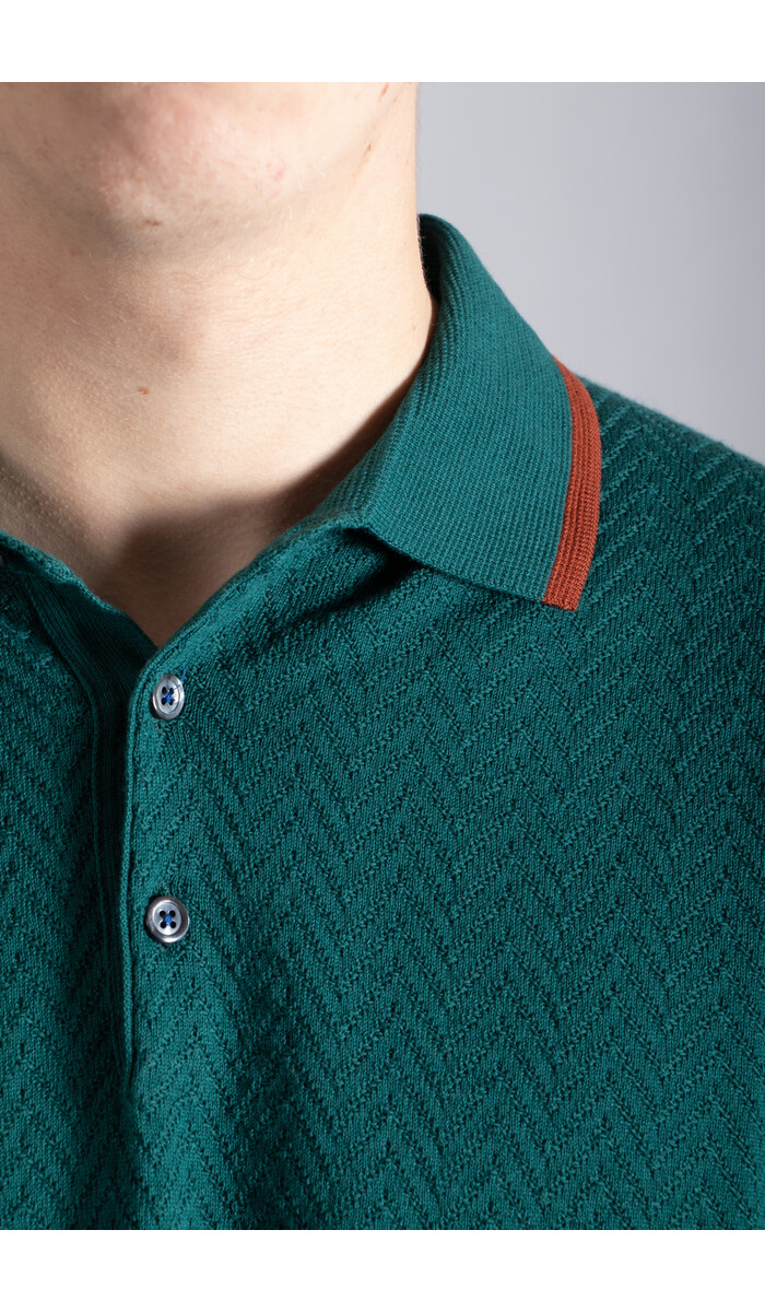 Gallia Gallia Polo / Brodi / Green & Brown