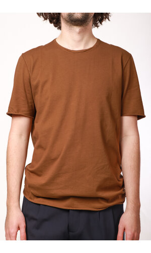 Hannes Roether  Hannes Roether T-Shirt / Day / Olive-Braun