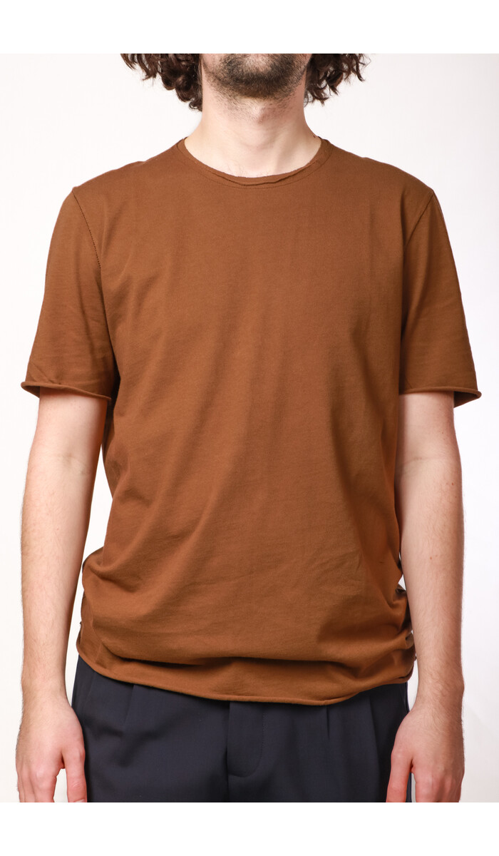 Hannes Roether Hannes Roether T-shirt /  Day / Olive-Brown