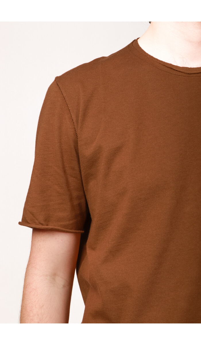 Hannes Roether Hannes Roether T-shirt /  Day / Olive-Brown