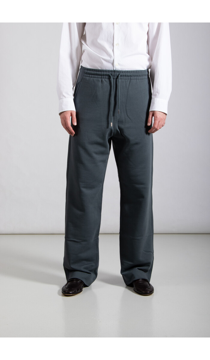 Dries van Noten Dries van Noten Hose / Hamer /  Stahlblau