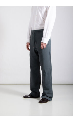 Dries van Noten Dries van Noten Trousers / Hamer / Stone blue