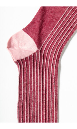 Alto Milano Sock / Pointer / Raspberry