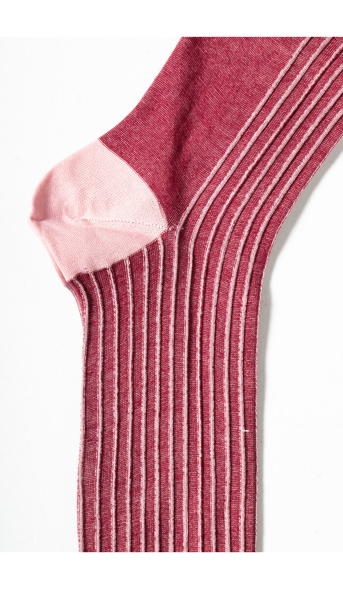 Alto Milano Sock / Pointer / Raspberry