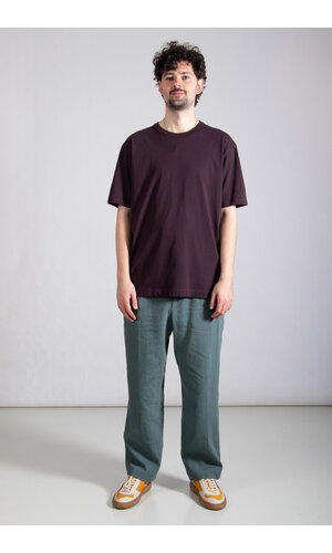 Dries van Noten Dries van Noten T-Shirt / Heer / Donkerpaars