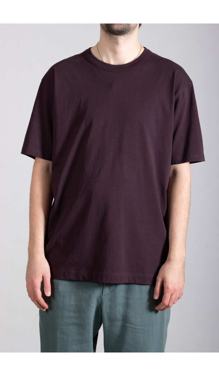 Dries van Noten Dries van Noten T-Shirt / Heer / Donkerpaars