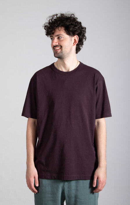 Dries van Noten Dries van Noten T-Shirt / Heer / Donkerpaars