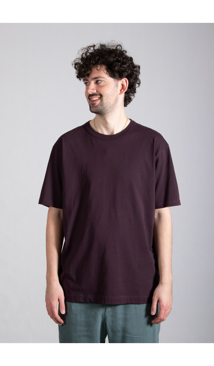 Dries van Noten Dries van Noten T-Shirt / Heer / Dark Purple