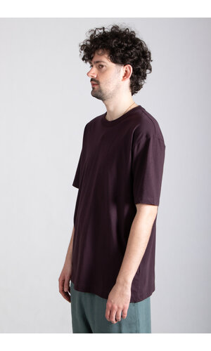 Dries van Noten Dries van Noten T-Shirt / Heer / Donkerpaars