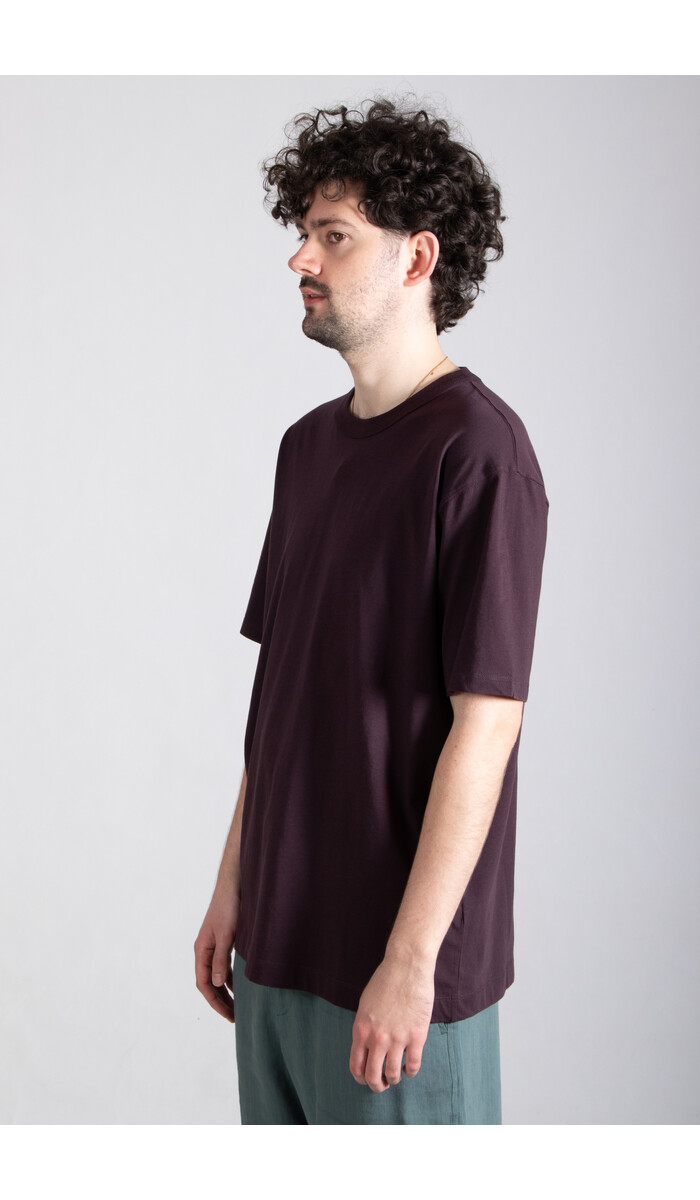 Dries van Noten Dries van Noten T-Shirt / Heer / Donkerpaars