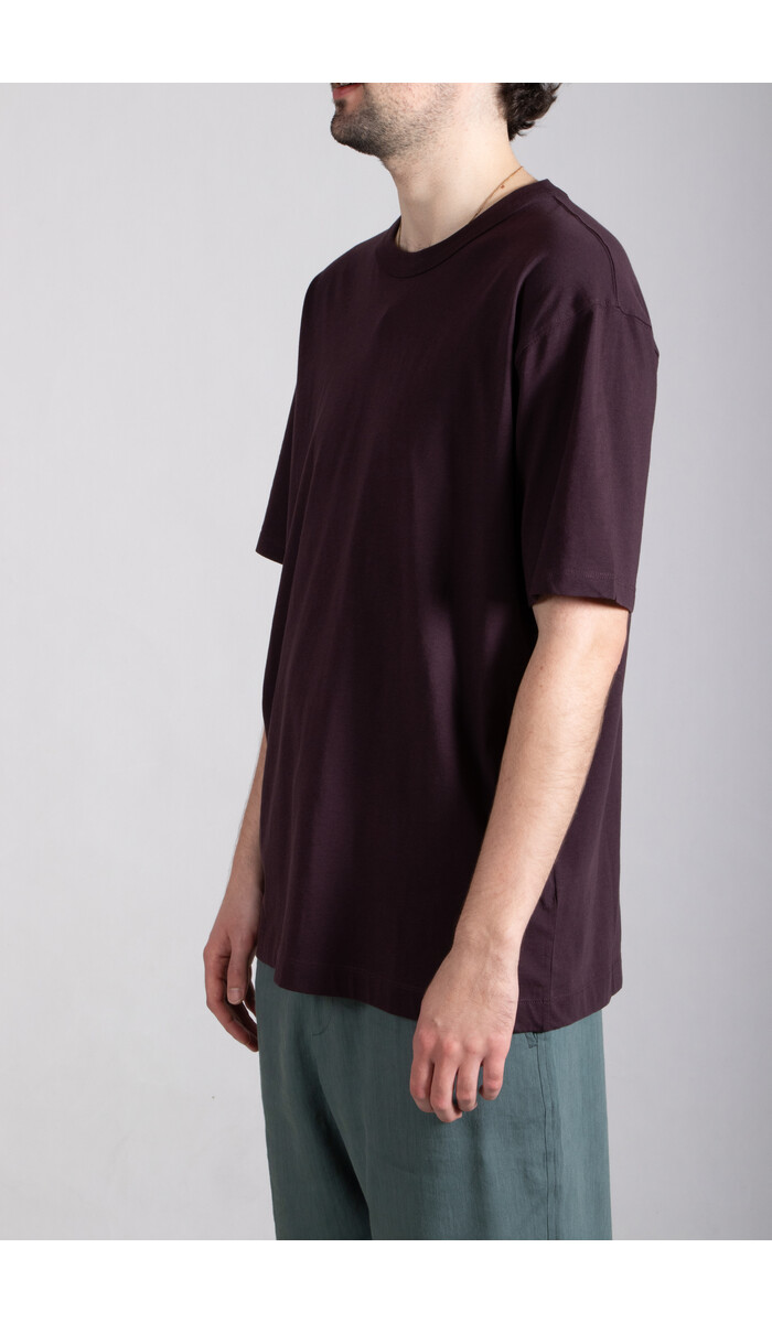 Dries van Noten Dries van Noten T-Shirt / Heer / Donkerpaars