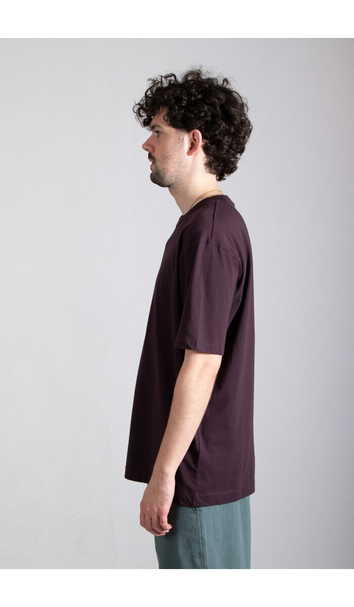 Dries van Noten Dries van Noten T-Shirt / Heer / Dark Purple