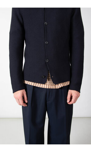 Hannes Roether Hannes Roether Cardigan / Nelson / Tornado