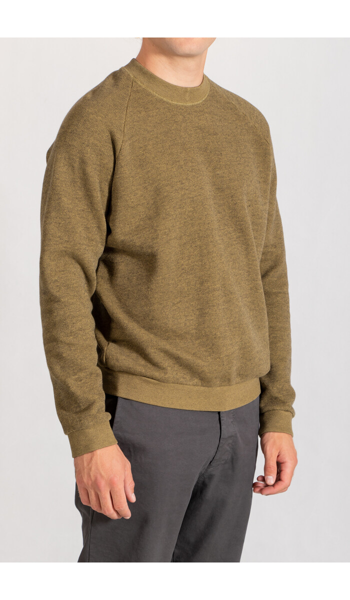 Homecore Homecore Pullover / Terry Sweat / Eidechsen Grün