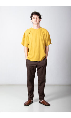 Jungmaven Jungmaven T-Shirt / Vernon / Mosterd