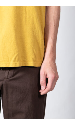 Jungmaven Jungmaven T-Shirt / Vernon / Mosterd