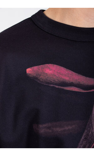 Dries van Noten Dries van Noten Pullover / Hax / Blume