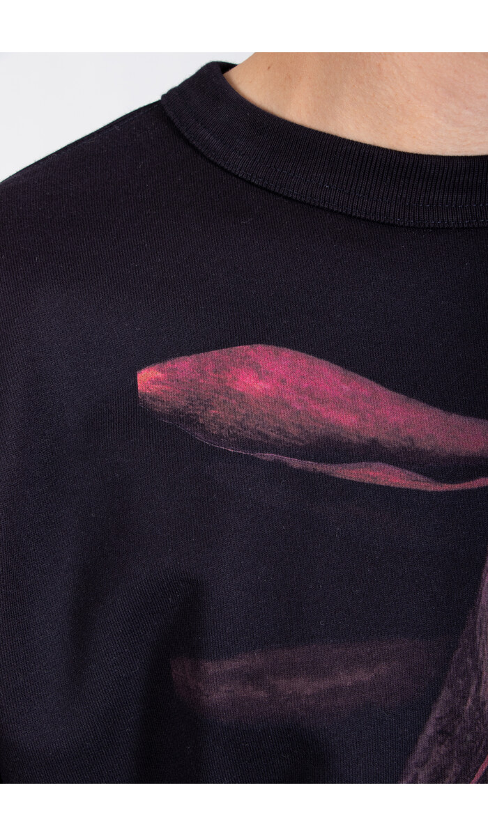 Dries van Noten Dries van Noten Pullover / Hax / Blume