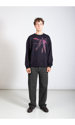 Dries van Noten Dries van Noten Pullover / Hax / Blume