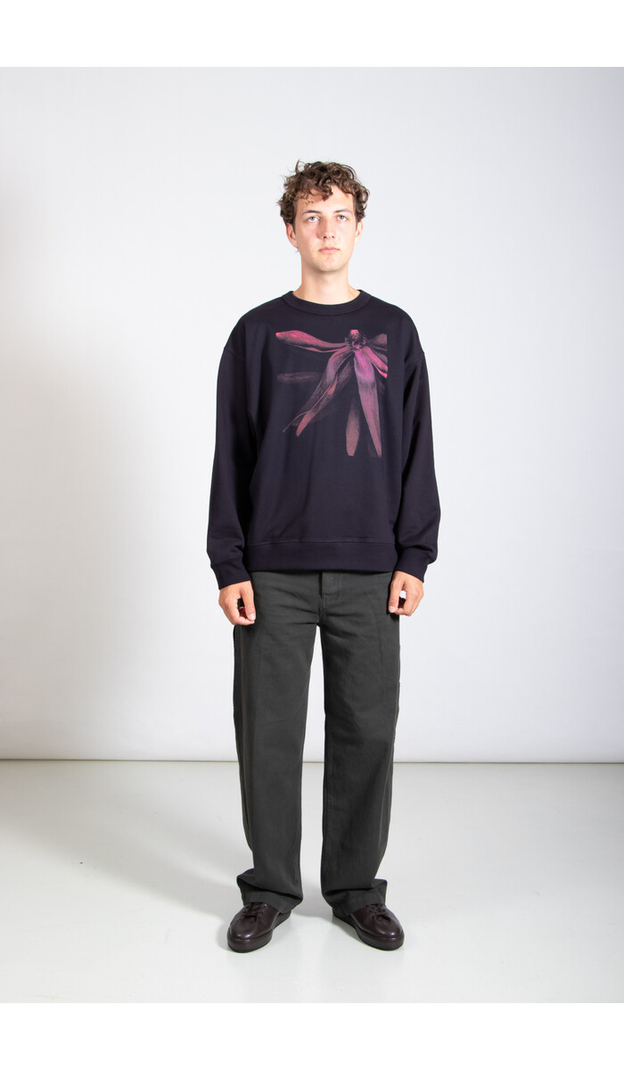 Dries van Noten Dries van Noten Pullover / Hax / Blume