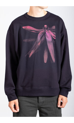 Dries van Noten Dries van Noten Pullover / Hax / Blume