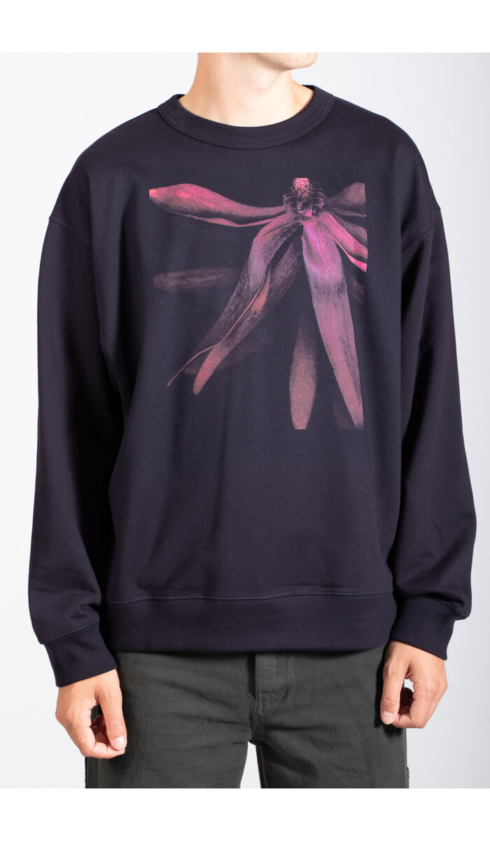 Dries van Noten Dries van Noten Pullover / Hax / Blume