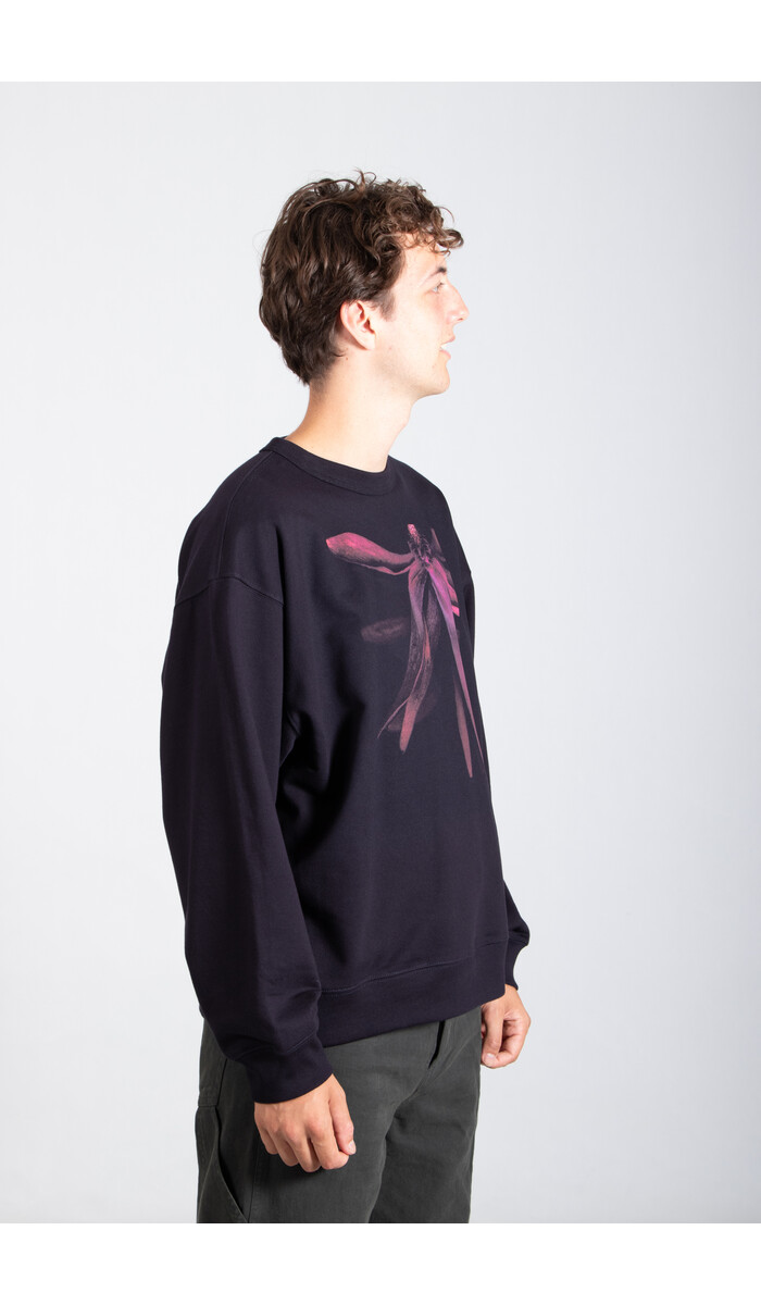 Dries van Noten Dries van Noten Pullover / Hax / Blume