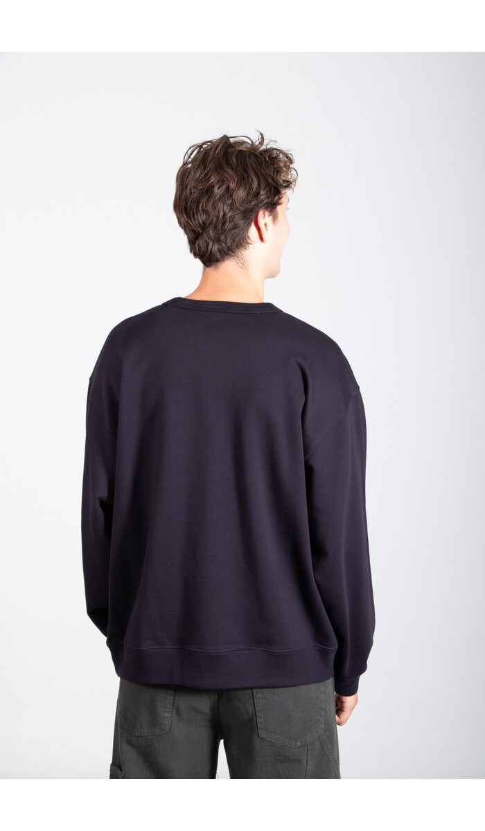 Dries van Noten Dries van Noten Pullover / Hax / Blume