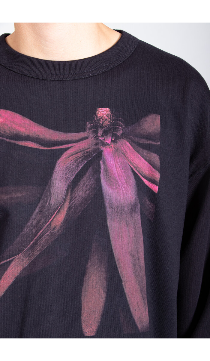 Dries van Noten Dries van Noten Pullover / Hax / Blume