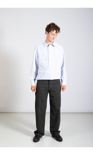 Dries van Noten Dries van Noten Hose / Pickerby / Kies