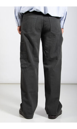 Dries van Noten Dries van Noten Hose / Pickerby / Kies