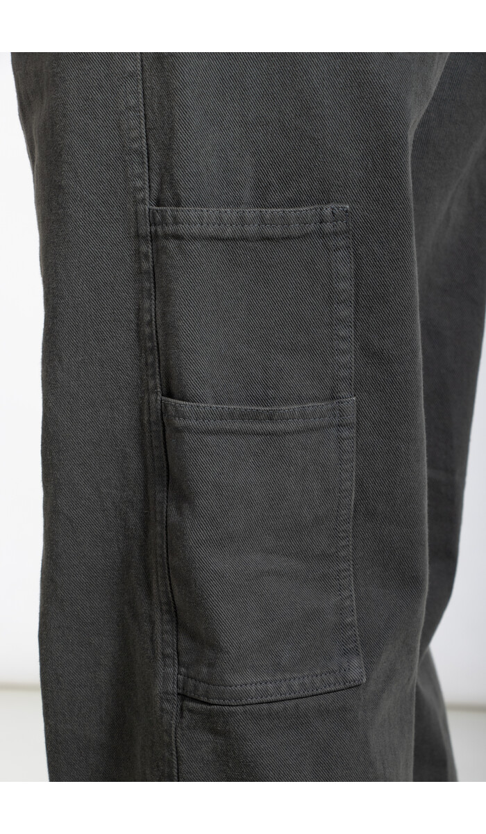 Dries van Noten Dries van Noten Hose / Pickerby / Kies