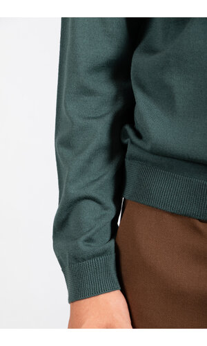 Roberto Collina Roberto Collina Polo  / 253M01004 / Green