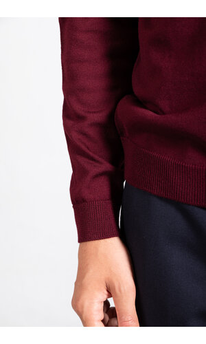 Roberto Collina Roberto Collina Polo / 253M01004 / Cherry