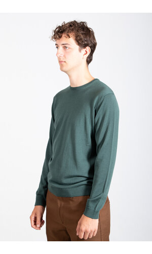 Roberto Collina Roberto Collina Sweater / 253M01001 / Green