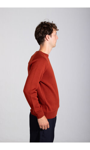 Gallia Gallia Sweater / Presley / Sly Fox