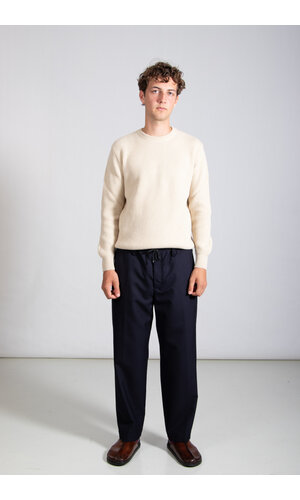 Dries van Noten Dries van Noten Hose / Penny / Navy
